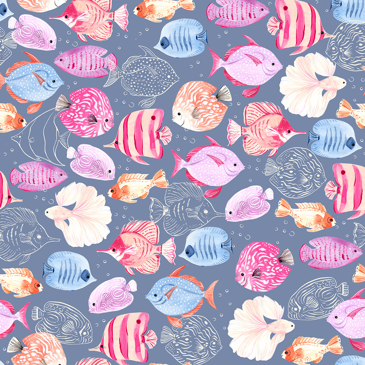 Dashwood Studio - Coral Coast by Sarah Knight