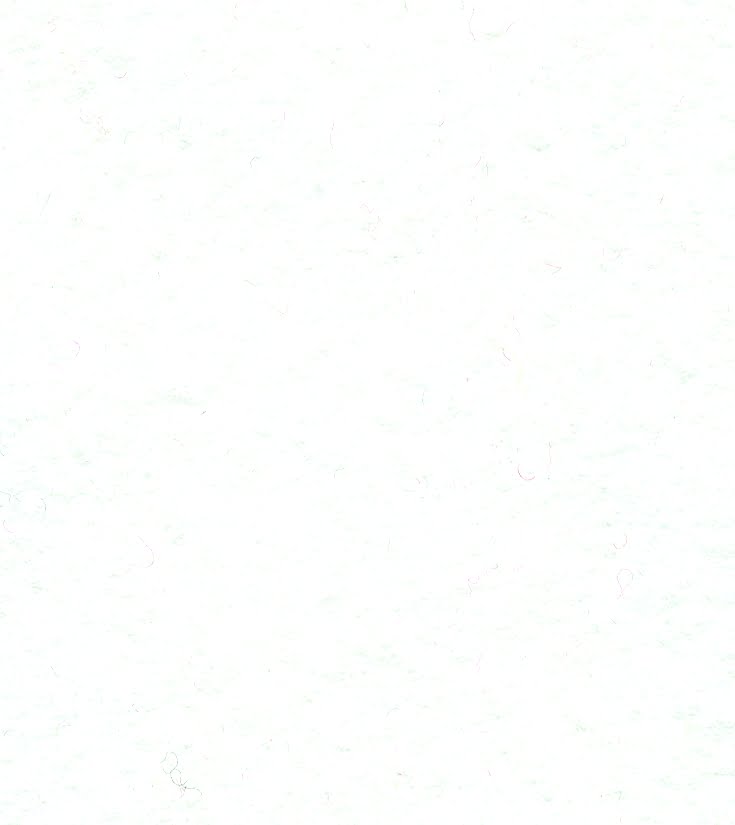 Felt - Wool Mix - White