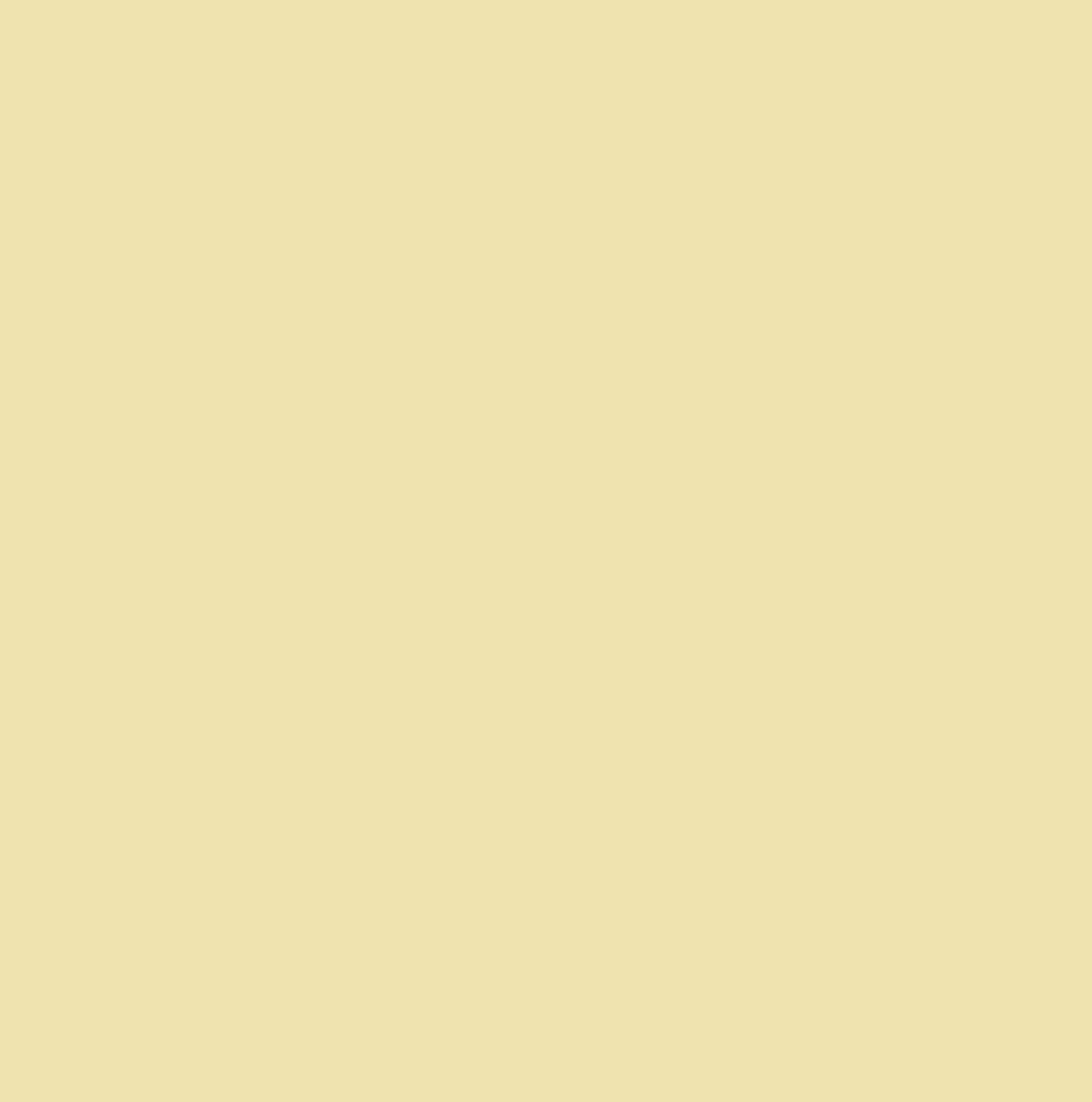 AntiPil Polar Fleece - Beige