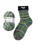 Opal Beauty 4 - Balance 4ply Sock Yarn