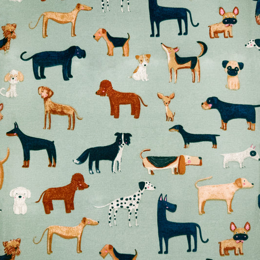 Crafty Canvas - Woof Duck Egg