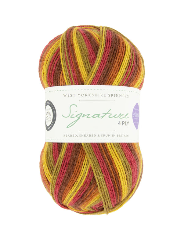 Signature 4ply - Winwick Mum Collection - Autumn Leaves