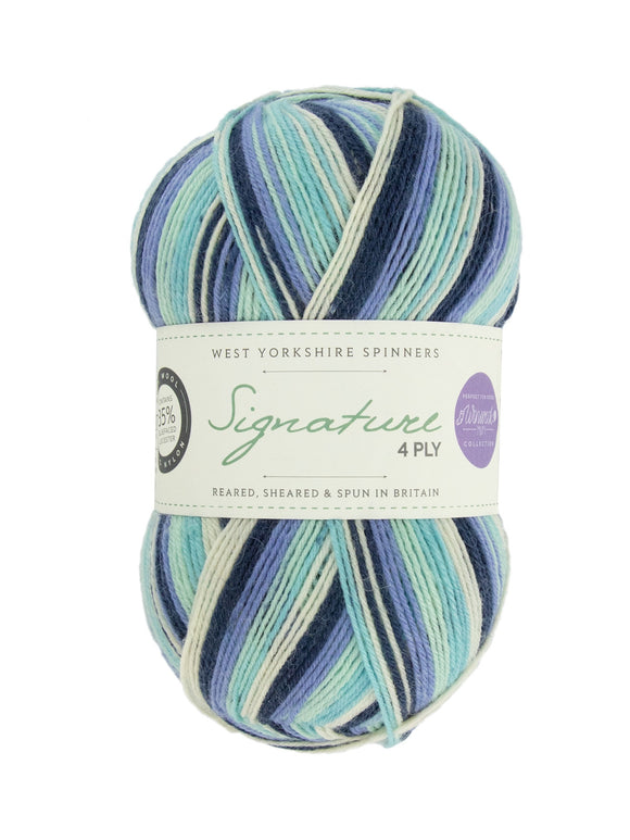 Signature 4ply - Winwick Mum Collection - Winter Icicle