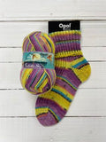 Opal Fantastic Sky 6ply Sock Yarn (8 Shades)