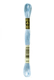 DMC STRANDED COTTON (Blue)