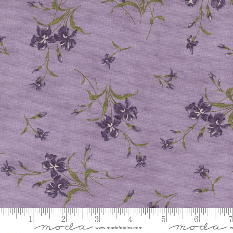 Moda - Iris & Ivy by Jan Patek