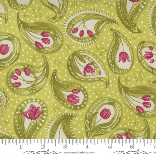 Moda -Tulip Tango By Robin Pickens