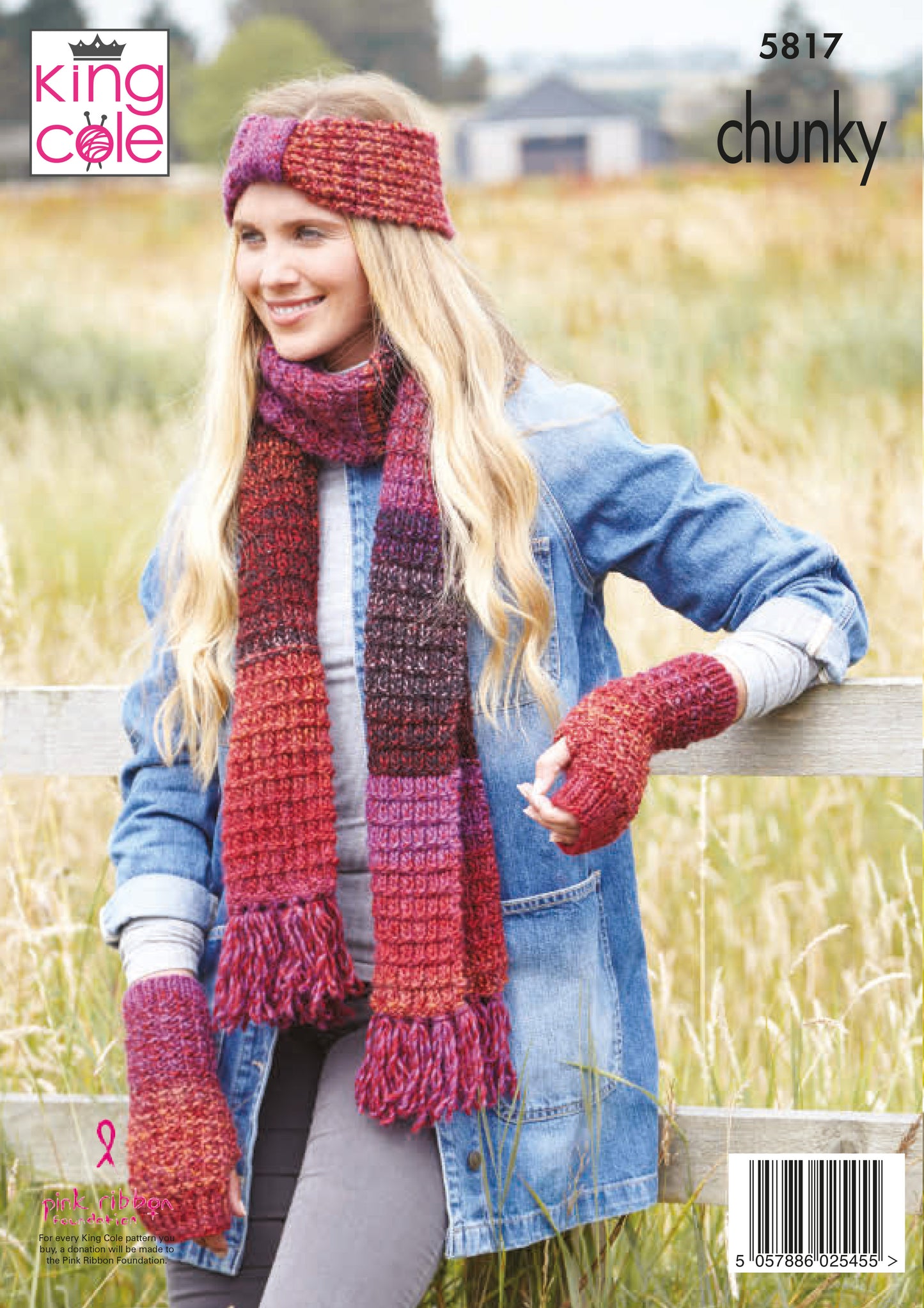 King Cole Pattern - 5817