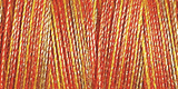 SULKY COTTON 30 300M (Multi)