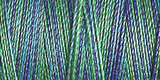 SULKY COTTON 30 300M (Multi)