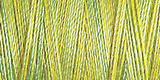 SULKY COTTON 30 300M (Multi)