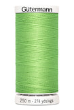 Gutermann Sew All 250M (Green)