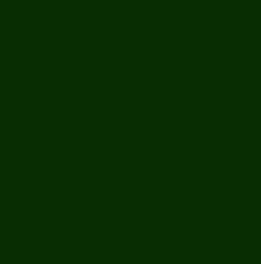 AntiPil Polar Fleece - Bottle Green