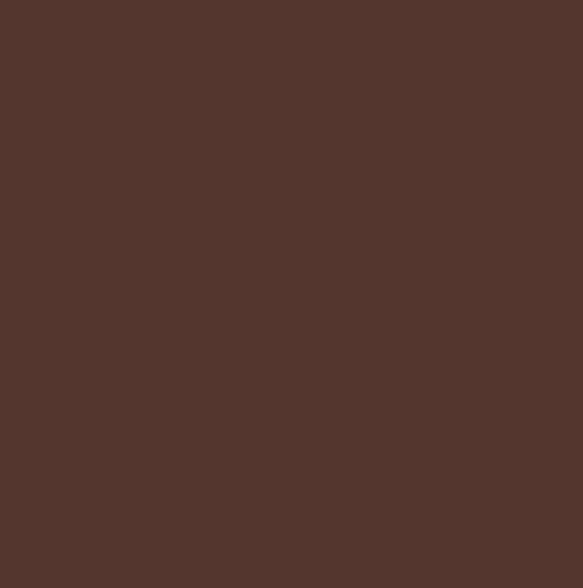 AntiPil Polar Fleece - Brown