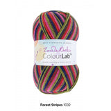 WYS ColourLab DK by Zandra Rhodes