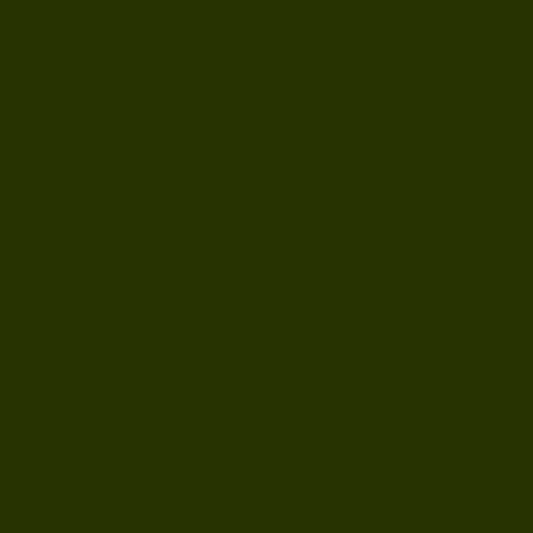 AntiPil Polar Fleece - Khaki