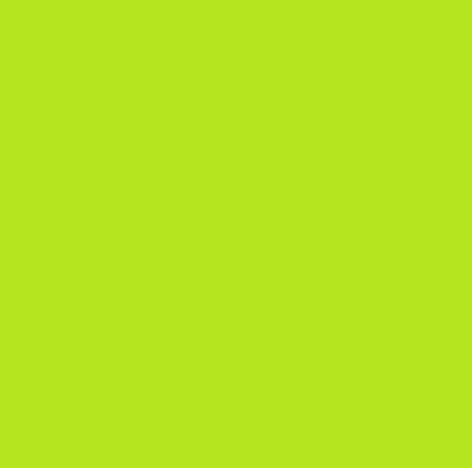 AntiPil Polar Fleece - Parrot