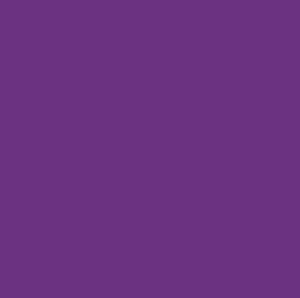 AntiPil Polar Fleece - Purple