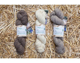 West Yorkshire Spinners - Blue Faced Leicester DK