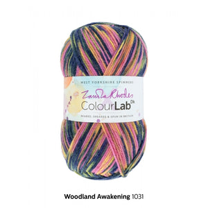 WYS ColourLab DK by Zandra Rhodes