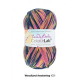 WYS ColourLab DK by Zandra Rhodes