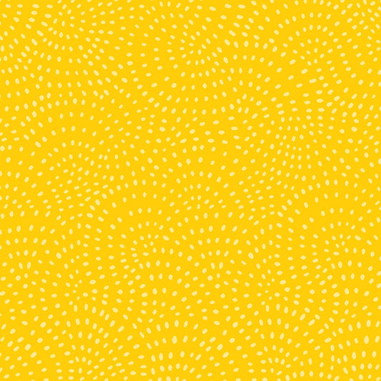 Dashwood Studio - Twist (10 Colours Available)